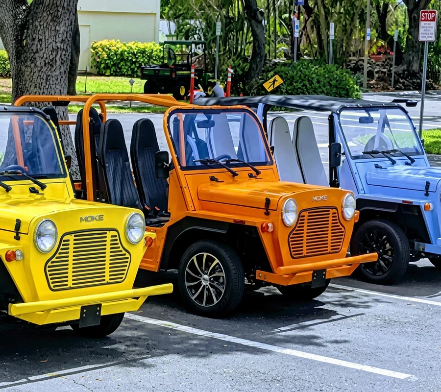 Friendly Moke Detroit
