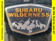 2022 Subaru Outback Wilderness